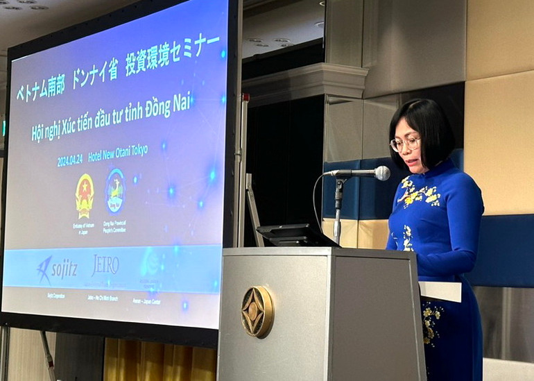 Phó Chủ tịch Ủy ban nhân dân tỉnh Đồng Nai Nguyễn Thị Hoàng giới thiệu tiềm năng, lợi thế của Đồng Nai đến các nhà đầu tư Nhật Bản.