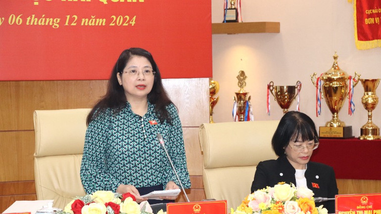 Phó Chủ nhiệm Ủy ban Pháp luật của Quốc hội Trần Hồng Nguyên phát biểu tại buổi làm việc.