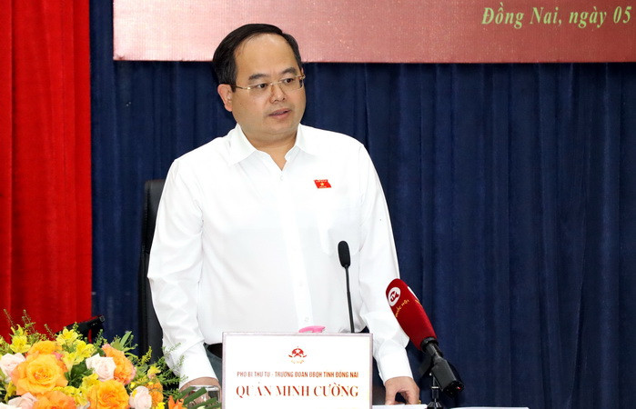 Phó Bí thư Tỉnh ủy, Trưởng Đoàn đại biểu Quốc hội tỉnh Đồng Nai phát biểu tại buổi giám sát.