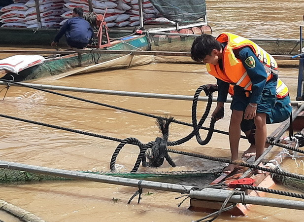 Lực lượng dân quân huyện Định Quán hỗ trợ gia cố bè nuôi cá của người dân trên sông Đồng Nai.