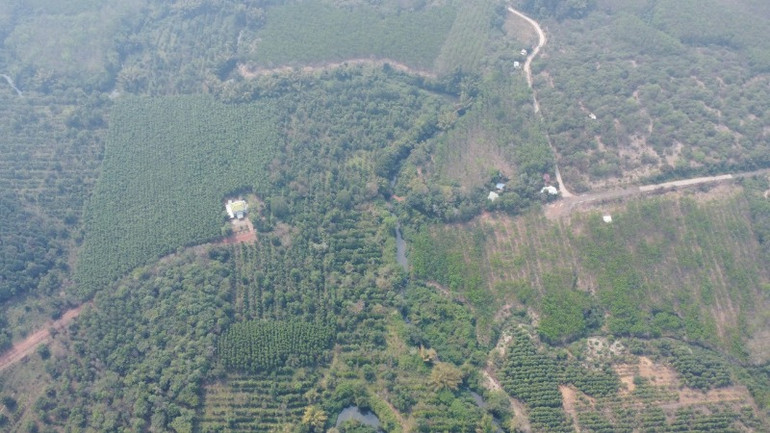 Tuyến đường kết nối trực tiếp duy nhất giữa tỉnh Đồng Nai và tỉnh Bình Phước, hàng chục năm qua không thể lưu thông do cầu Mã Đà bị sập trong chiến tranh.