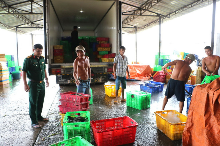 Lực lượng Đội nuôi trồng thủy sản, Bộ Chỉ huy quân sự tỉnh Đồng Nai xử lý số cá chết trên khu vực lòng hồ Sông Mây.