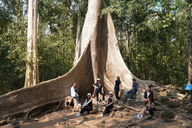 Du lịch sinh thái rừng ở Đồng Nai ngày càng thu hút du khách.