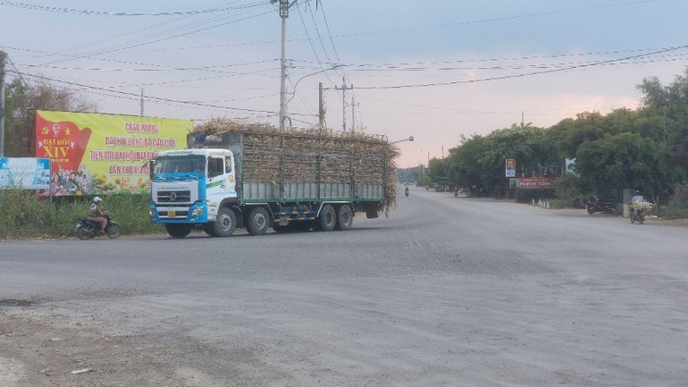 Từ Quốc lộ 25, xe vận chuyển mía nguyên liệu về các nhà máy đường. Từ Quốc lộ 25, xe vận chuyển mía nguyên liệu về các nhà máy đường.