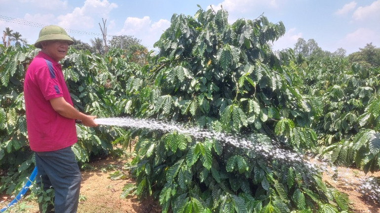 Anh Lê Quốc Huy mong muốn được mang thương hiệu cà-phê Đắk Lắk.
