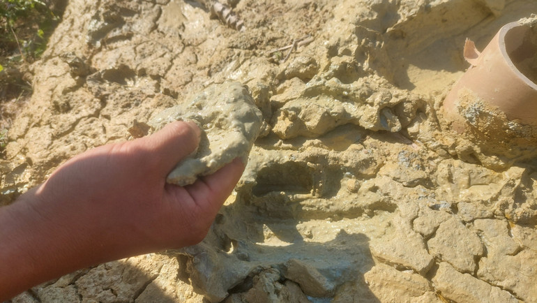 Bùn đặc quánh, màu vàng nhạt.