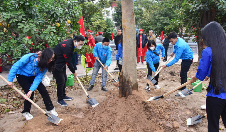 Đoàn viên thanh niên phường Định Công tham gia trồng cây.