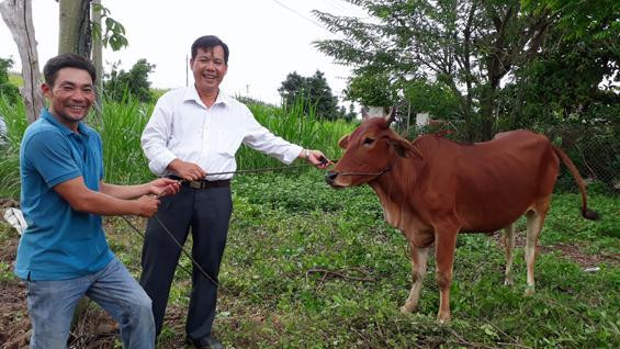 Nông dân Lê Quang Bình (trái, ấp Tân Bình, xã Sơn Bình, huyện Châu Đức) vui mừng nhận bò giống do Hội Chữ thập đỏ huyện Châu Đức trao tặng. Nông dân Lê Quang Bình (trái, ấp Tân Bình, xã Sơn Bình, huyện Châu Đức) vui mừng nhận bò giống do Hội Chữ thập đỏ huyện Châu Đức trao tặng.