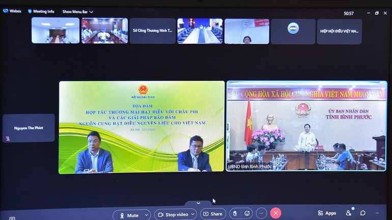 Tọa đàm được tổ chức trực truyến. (Ảnh: Bộ Ngoại giao)