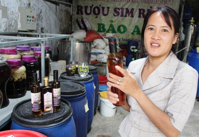 Sim rừng tươi sắc màu, nồng nàn hương liệu trong sản phẩm rượu Bảo An.