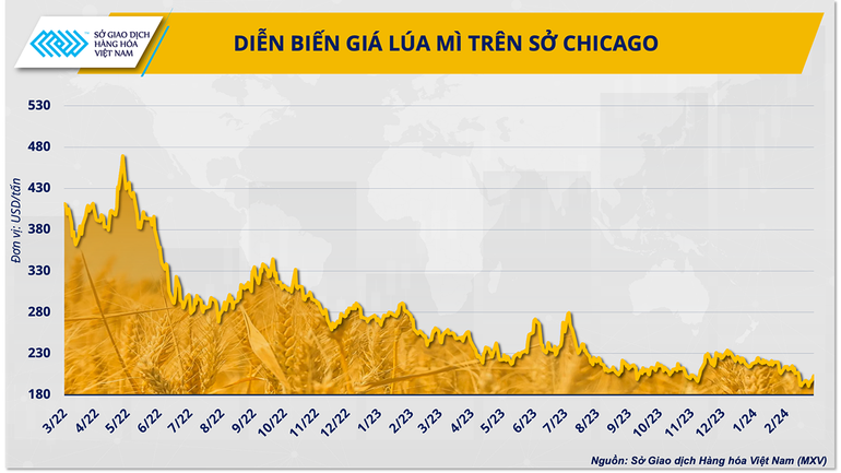 Diễn biến giá lúa mì 2 năm qua.