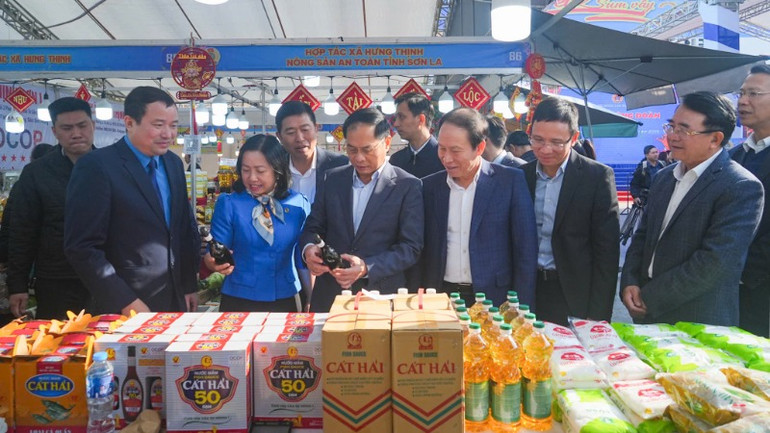 Phó Thủ tướng Chính phủ, Bộ trưởng Ngoại giao Bùi Thanh Sơn cùng lãnh đạo thành phố Hải Phòng thăm chợ Tết Công đoàn Hải Phòng 2025.