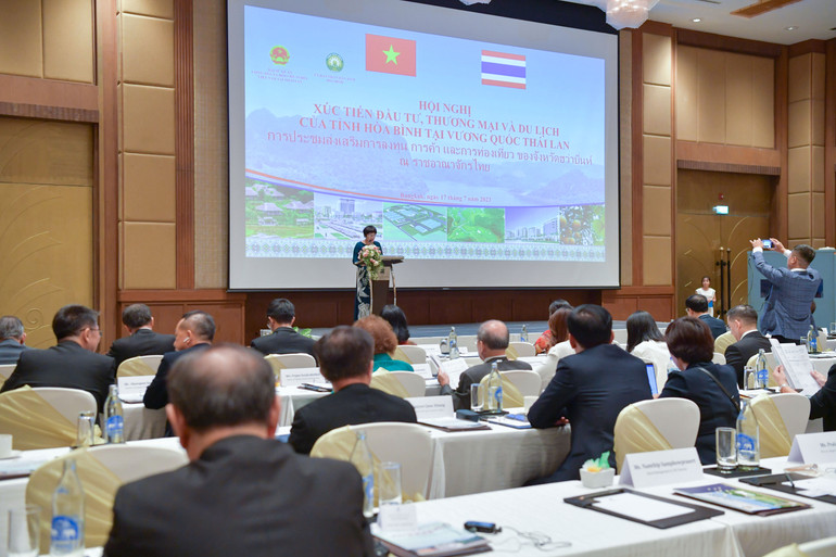 Doanh nghiệp Việt Nam giới thiệu về nhu cầu đầu tư của mình tới các doanh nghiệp Thái Lan.