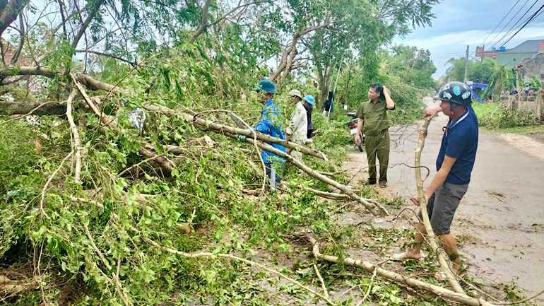 Các tầng lớp nhân dân được huy động để dọn dẹp cây xanh bị gãy đổ sau bão. (Ảnh: Cổng Thông tin điện tử Tiên Lãng)