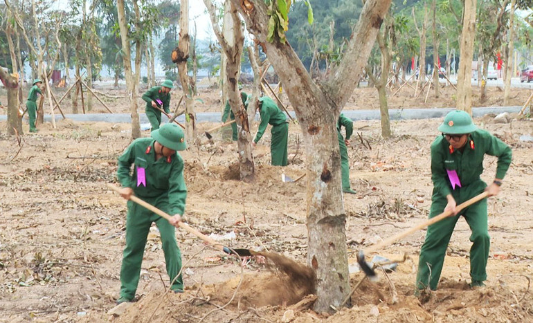 Các chiến sĩ quân đội trồng cây tại Trung đoàn bộ binh 50. (Ảnh: Cổng TTĐT Hải Phòng)