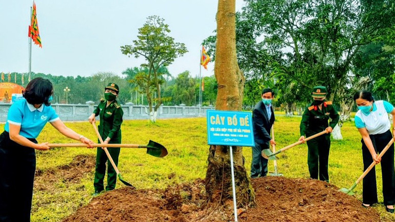 Các cấp hội Phụ nữ Hải Phòng hăng hái tổ chức trồng, bảo vệ và chăm sóc cây xanh.