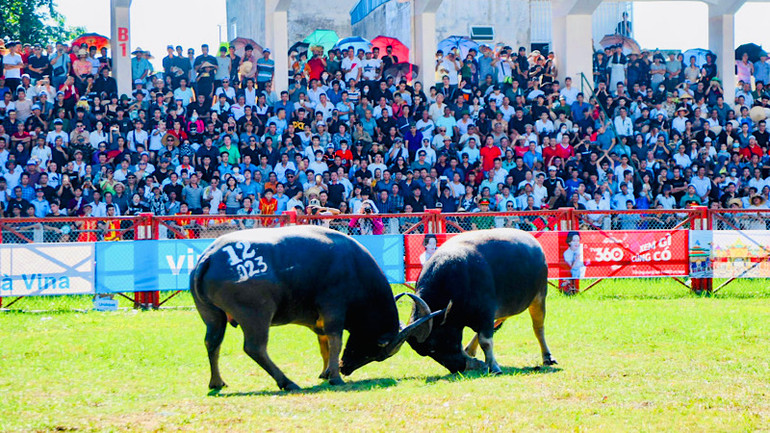 Đông đảo người dân và du khách bị lôi cuốn trong các kháp đấu kịch tính của lễ hội.