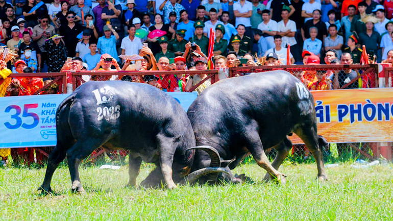 Các kháp đấu tưng bừng và nảy lửa.