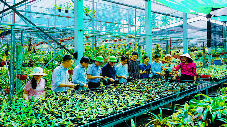 Sản xuất nông nghiệp cũng chuyển dịch mạnh mẽ sang cây trồng ứng dụng công nghệ và có giá trị kinh tế cao.