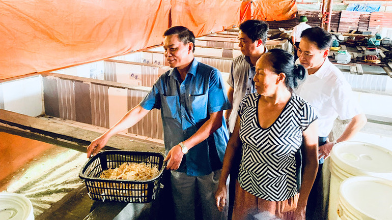 Kiểm tra cơ sở sản xuất sứa tại các khu đất các hộ dân tự ý sử dụng.