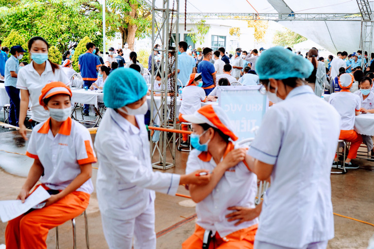 Các đơn vị, địa phương cần tập trung đẩy nhanh công tác tiêm vaccine phòng Covid-19 theo mục tiêu Chính phủ đề ra. Các đơn vị, địa phương cần tập trung đẩy nhanh công tác tiêm vaccine phòng Covid-19 theo mục tiêu Chính phủ đề ra.