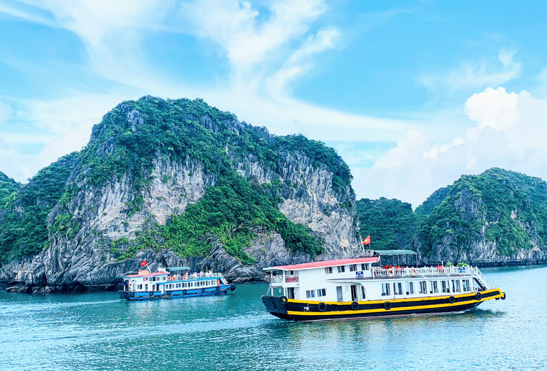 Vịnh Lan Hạ (Cát Bà) - một trong những vịnh đẹp nhất thế giới đã được Hiệp hội Các vịnh biển thế giới tôn vinh.