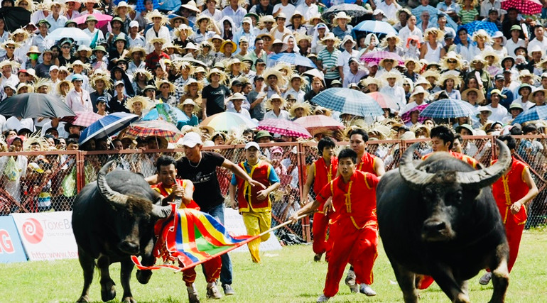 Lễ hội chọi trâu Đồ Sơn là lễ hội truyền thống độc đáo của cư dân miền biển Hải Phòng luôn hấp dẫn du khách trong và ngoài nước.