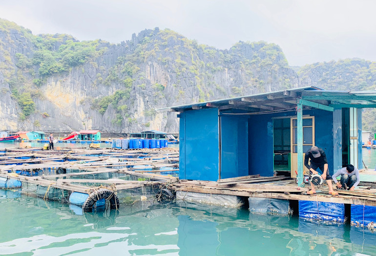 Các lồng bè nuôi trồng thủy sản kiểu cũ trên biển Cát Bà.