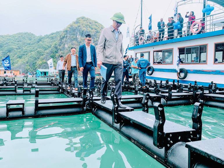 Cụm lồng bè nuôi trồng thủy sản mới được kỳ vọng sẽ mang lại hiệu quả kinh tế và môi trường.