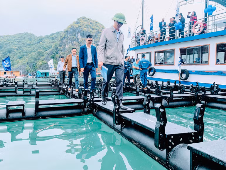 Cụm lồng bè nuôi trồng thủy sản mới được kỳ vọng sẽ mang lại hiệu quả kinh tế và môi trường.