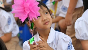 Học sinh Trường tiểu học Linh Đàm, Hà Nội. (Ảnh THẾ ĐẠI)