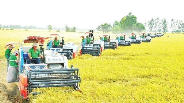 Việt Nam hiện đã trở thành nước xuất khẩu gạo thứ 2 thế giới. (Ảnh: CÔNG HÂN)