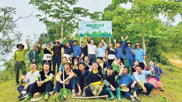 Sùng A Cải cùng cán bộ địa phương và đông đảo bà con tích cực trồng rừng, bảo vệ không gian sống cho cộng đồng