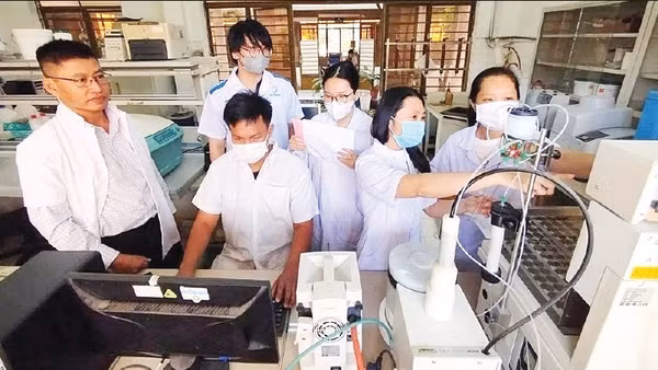 Tiến sĩ Bùi Đình Thạch (ngoài cùng bên trái) trao đổi với nhóm nghiên cứu về tác dụng của cây ngải trắng. (Ảnh: VAST)