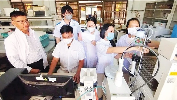 Tiến sĩ Bùi Đình Thạch (ngoài cùng bên trái) trao đổi với nhóm nghiên cứu về tác dụng của cây ngải trắng. (Ảnh: VAST)