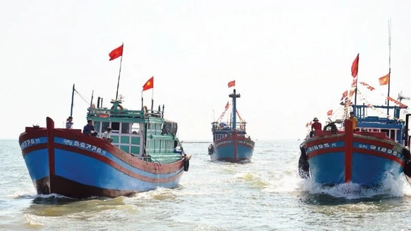 Đội tàu cá của ngư dân Quảng Ngãi. (Ảnh: TRẦN MAI)