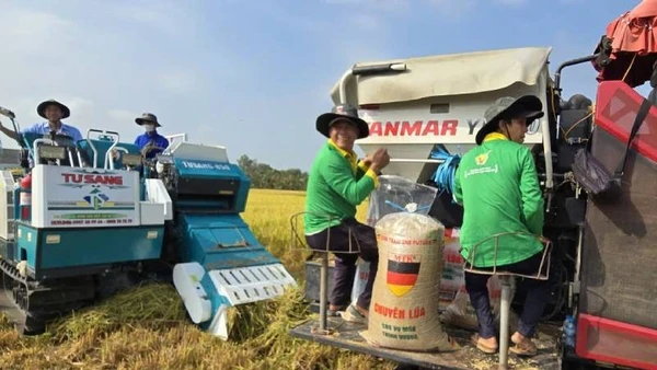 Công nghệ góp phần nâng cao chuỗi giá trị 1 triệu ha lúa phát thải thấp.