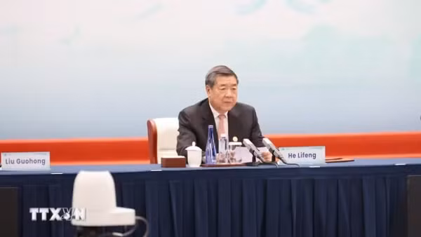 Phó Thủ tướng Quốc Vụ viện Trung Quốc Hà Lập Phong. (Ảnh: Công Tuyên/TTXVN) 