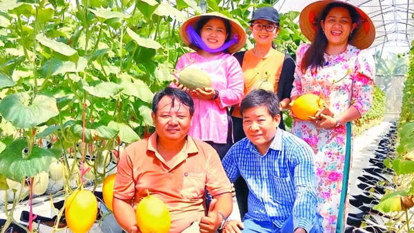 Hợp tác xã nông nghiệp Thuận Mỹ (Tây Ninh) ứng dụng công nghệ số vào sản xuất và kinh doanh mang lại hiệu quả kinh tế cao.