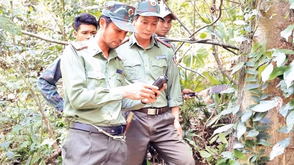 Một chuyến tuần tra rừng của cán bộ, nhân viên Trạm U Bò.