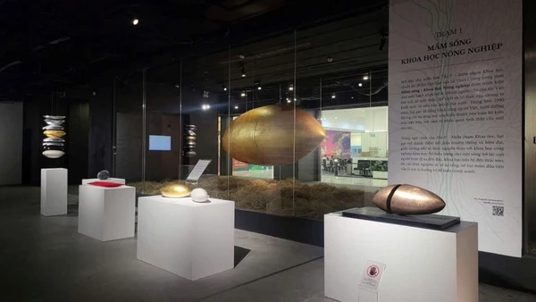 Bộ tác phẩm "Hạt gạo" của cố họa sĩ Lê Thiết Cương trưng bày tại triển lãm TỎA V. 