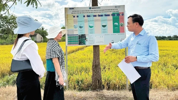 Đại diện Trung tâm Khuyến nông tỉnh Đắk Lắk trao đổi về các chương trình canh tác lúa giảm phát thải tại Trại lúa giống Hòa Xuân. (Ảnh MINH ANH)