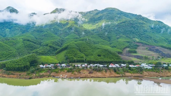 BIODEV2030 từng bước đưa bảo tồn đa dạng sinh học trở thành động lực thúc đẩy chuyển đổi sản xuất trong lâm nghiệp và thủy sản.