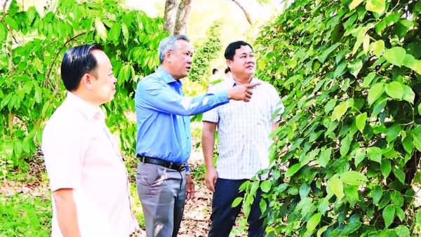 Lãnh đạo xã biên giới Đắk Ơ, thành phố Đồng Nai xuống cơ sở khảo sát tình hình sản xuất nông nghiệp.