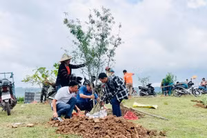 Cán bộ, công chức xã Si Pa Phìn hưởng ứng phong trào trồng cây, bảo vệ rừng; đồng thời tuyên truyền, vận động nhân dân các dân tộc trên địa bàn tích cực tham gia bảo vệ rừng để hưởng dịch vụ môi trường rừng.