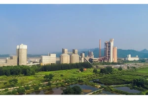 Nhà máy Xi măng VICEM Hạ Long xanh.
