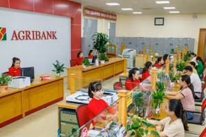 Là ngân hàng thương mại 100% vốn Nhà nước, Agribank đóng vai trò “trụ cột” trong hệ thống tài chính.