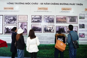 Hành trình gần 7 thập kỷ của những "nghệ nhân sữa" Mộc Châu