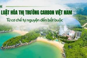 Luật hóa thị trường carbon Việt Nam: Từ cơ chế tự nguyện đến bắt buộc.