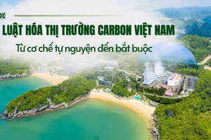 Luật hóa thị trường carbon Việt Nam: Từ cơ chế tự nguyện đến bắt buộc.